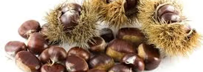 Delle proprietà salutari e gustative delle castagne e di qualche altra curiosità, di questo tratteremo nella Rubrica di Venerdì 27 Ottobre.